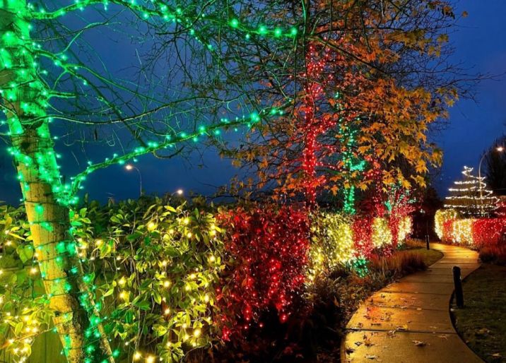 Get affordable Christmas lights in Sarasota with Clean Obsession. Expert installation, custom designs, and energy-efficient options for a magical holiday season.