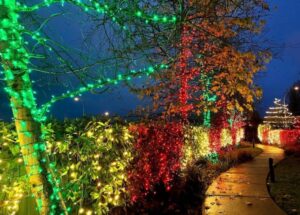 Festive holiday lights on a Cape Coral home, featuring bright roofline accents and tree lighting.