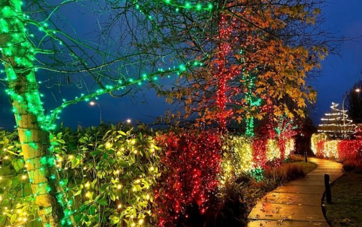 Festive holiday lights on a Cape Coral home, featuring bright roofline accents and tree lighting.